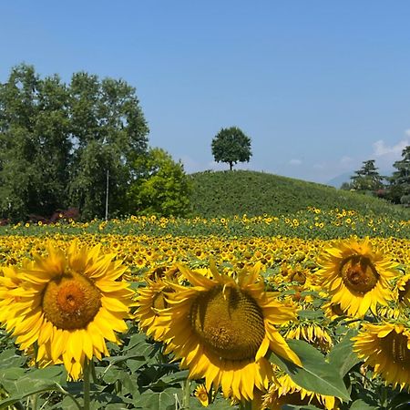 Borghetto San Biagio Relais Agriturismo Bed and Breakfast Thiene Εξωτερικό φωτογραφία