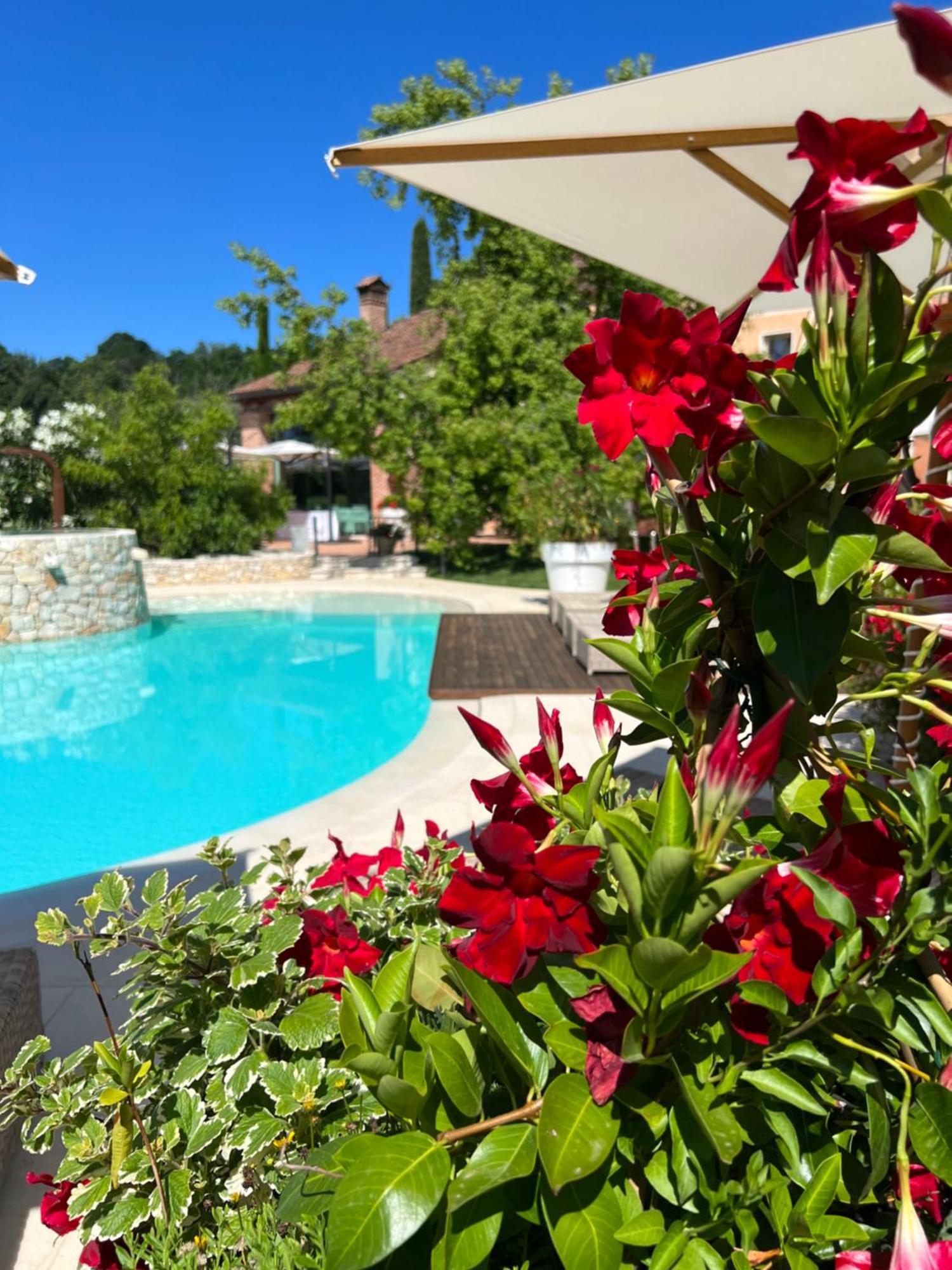 Borghetto San Biagio Relais Agriturismo Bed and Breakfast Thiene Εξωτερικό φωτογραφία